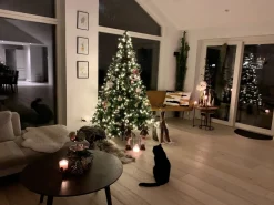 Albero di Natale artificiale LED PALOMAR 180 cm Verde scuro