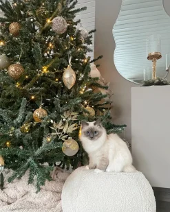 Albero di Natale artificiale LED PALOMAR 180 cm Verde scuro