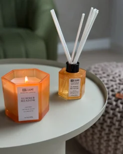 Candela Profumata con Diffusore di Fragranze CLASSY TINT Cera di Soia Note fresche