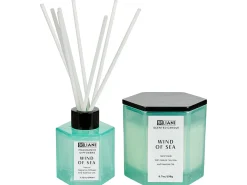 Candela Profumata con Diffusore di Fragranze CLASSY TINT Cera di Soia Note fresche