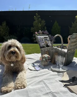 Cesto da Picnic CANELE Vimini Marrone