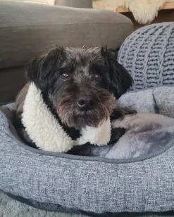 Cuccia per animali CANDIR Lino Grigio