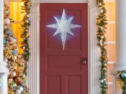 Decorazione da appendere all'aperto LED OSMA Stella 67 cm Bianco