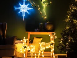 Decorazione da appendere all'aperto LED OSMA Stella 67 cm Bianco