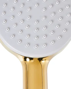 Kit doccia con soffione e flessibile AYPATE Oro