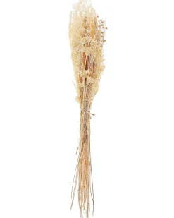 Mazzo di Fiori Secchi BRUNETE 65 cm Naturale
