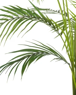 Pianta artificiale ARECA PALM 124 cm Verde