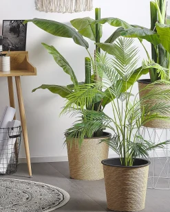 Pianta artificiale ARECA PALM 124 cm Verde
