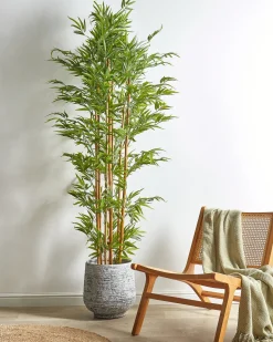 Pianta artificiale BAMBOO 220 cm Verde
