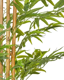 Pianta artificiale BAMBOO 220 cm Verde