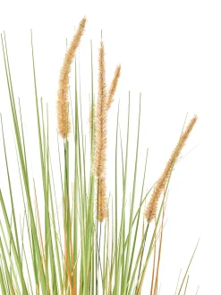 Pianta artificiale BRISTLEGRASS 90 cm Verde