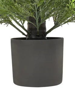 Pianta artificiale CEDAR TREE 153 cm Verde