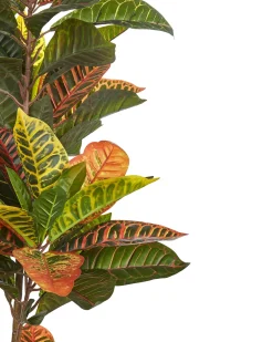 Pianta artificiale CODIAEUM 140 cm Verde