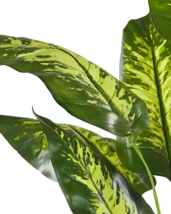 Pianta artificiale DIEFFENBACHIA 122 cm Verde