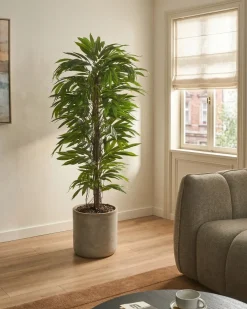Pianta artificiale LONGIFOLIA 155 cm Verde