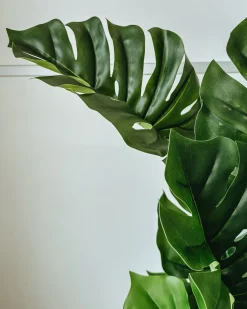 Pianta artificiale MONSTERA PLANT 94 cm Verde