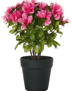 Pianta artificiale NOVELLA 36 cm Rosa