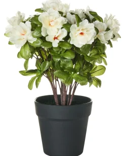 Pianta artificiale NOVELLA 36 cm Bianco