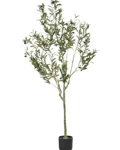 Pianta artificiale OLIVE TREE 153 cm Verde