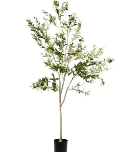 Pianta artificiale OLIVE TREE 178 cm Verde