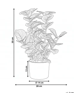 Pianta artificiale ORBIFOLIA 50 cm Verde