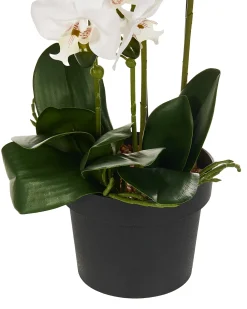 Pianta artificiale ORCHID 65 cm Bianco