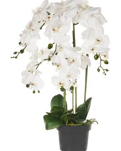 Pianta artificiale ORCHID 65 cm Bianco