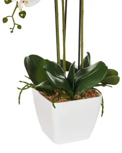 Pianta artificiale ORCHID 59 cm Bianco