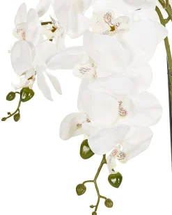 Pianta artificiale ORCHID 59 cm Bianco
