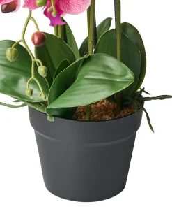 Pianta artificiale ORCHID 65 cm Rosa
