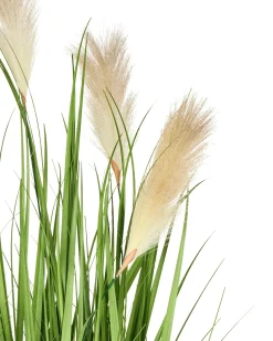 Pianta artificiale PAMPAS GRASS 130 cm Verde