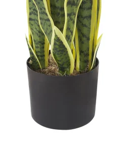 Pianta artificiale SNAKE PLANT 63 cm Verde