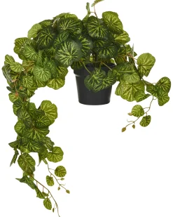 Pianta artificiale sospesa in vaso STRAWBERRY BEGONIA 37 cm Verde