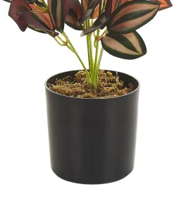 Pianta artificiale TRADESCANTIA 35 cm Rosso