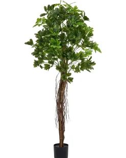 Pianta artificiale UMBRELLA TREE 175 cm Verde