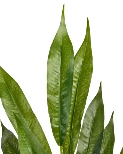 Pianta artificiale WILLOW TREE 180 cm