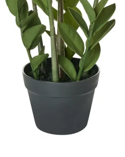 Pianta artificiale ZAMIIFOLIA 76 cm Verde
