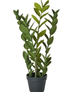 Pianta artificiale ZAMIIFOLIA 76 cm Verde