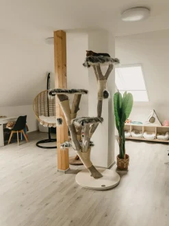 Poltrona sospesa con supporto da pavimento ASPIO Rattan sintetico (PE) Naturale