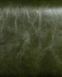 Sedia da scrivania CANDOR Pelle sintetica Verde scuro