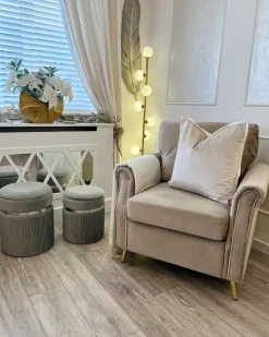 Set di 2 pouf contenitore CAMDENTON Velluto Grigio chiaro