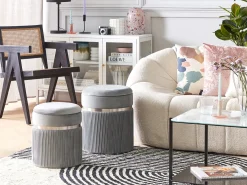 Set di 2 pouf contenitore CAMDENTON Velluto Grigio chiaro