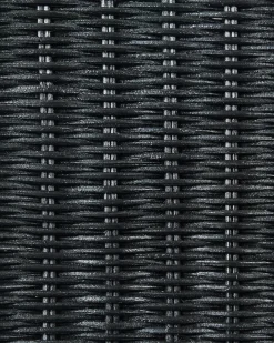 Set di 2 sedie da pranzo ANDES Rattan Nero