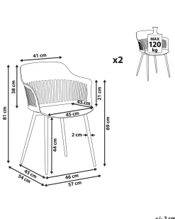 Set di 2 sedie da pranzo BERECA Bianco