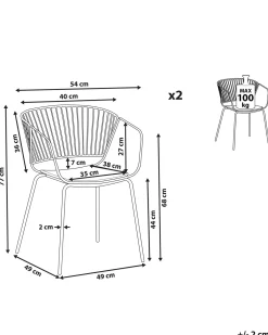 Set di 2 sedie da pranzo RIGBY Metallo Nero