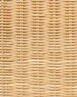 Set di 2 sedie da pranzo ROXTON Rattan Naturale