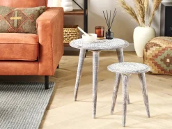 Set di 2 tavolini BARJU Legno di mango Bianco