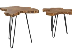 Set di 2 tavolini CAMROSE Legno di teak Marrone scuro