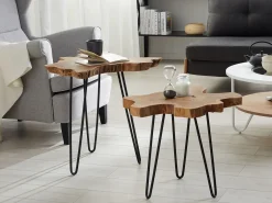 Set di 2 tavolini CAMROSE Legno di teak Marrone scuro