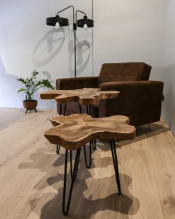 Set di 2 tavolini CAMROSE Legno di teak Marrone scuro
